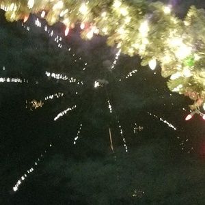 Meet your Posher, Lourdes